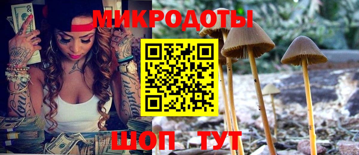 Галлюциногенные грибы GOLDEN TEACHER Светлоград