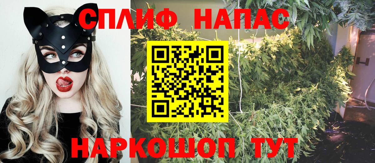 МАРИХУАНА сатива Светлоград